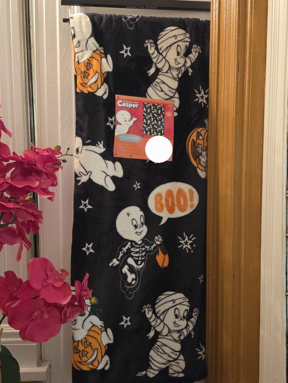 Casper The Friendly Ghost Halloween Plush Throw Blanket Boo
